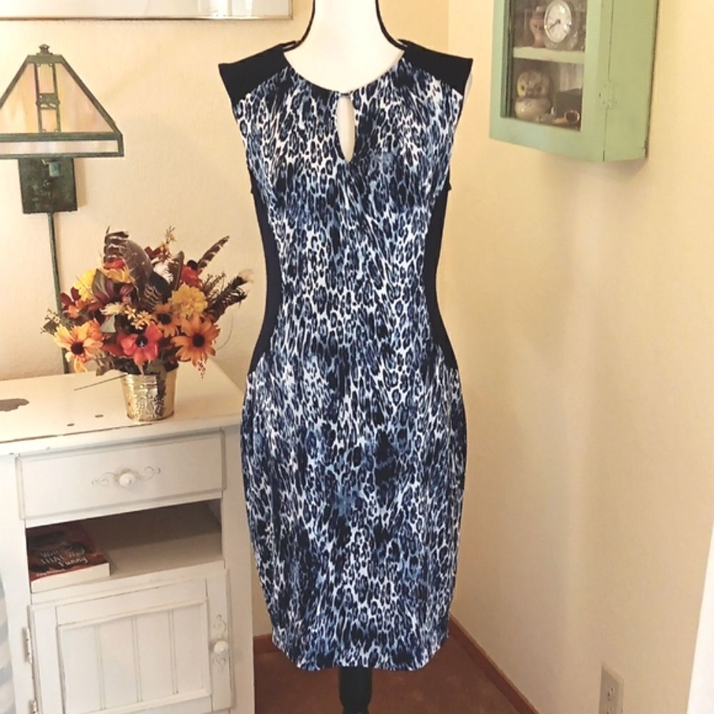 Cache Soft Knit Dress